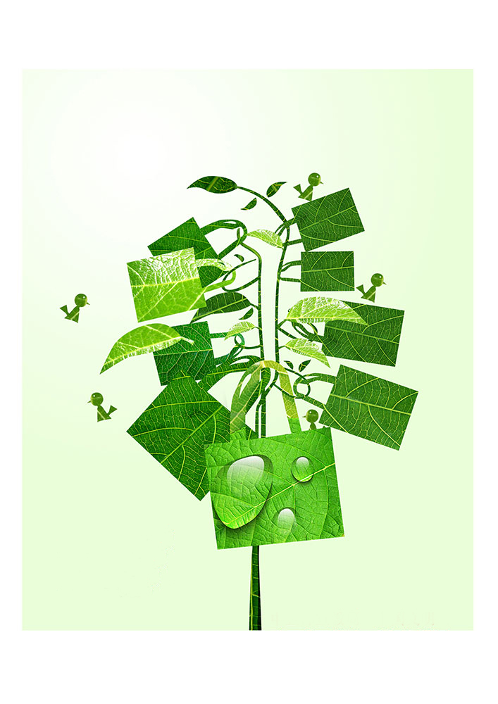 一花一世界，一個環(huán)保袋一抹綠